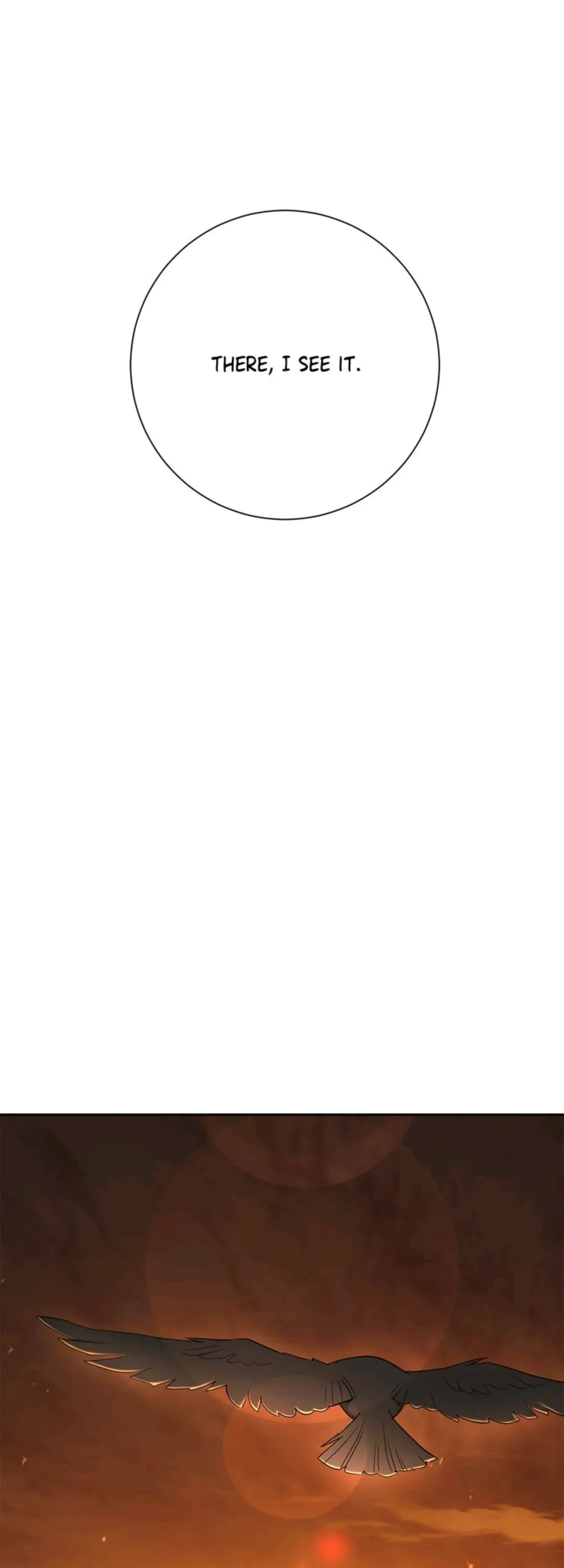 7981190 1080 3000 32990