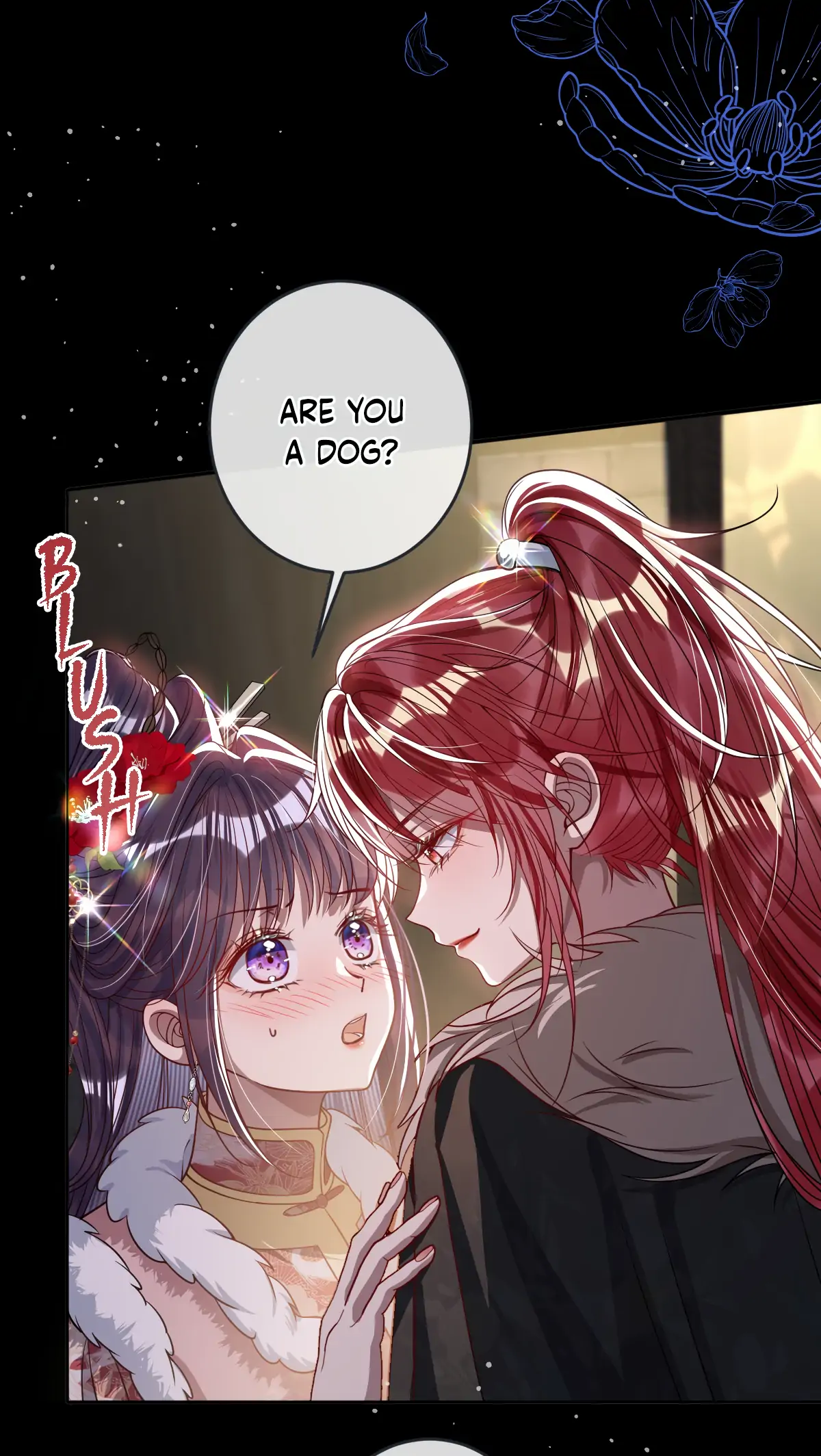 88966054 1200 2128 156294